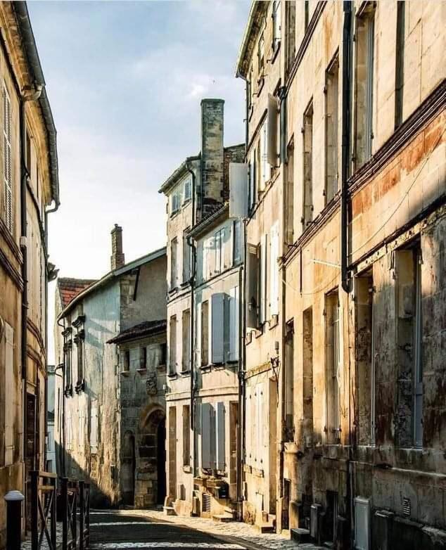 Apartmán Le Cordon Bleu # Vieux-Cognac # Jardin Exteriér fotografie
