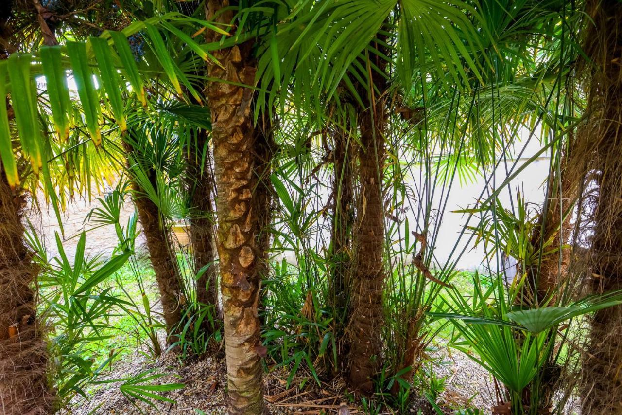 Apartmán Le Cordon Bleu # Vieux-Cognac # Jardin Exteriér fotografie